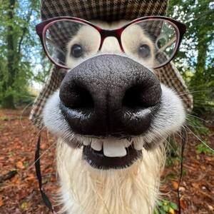 Fundraising Page: Caleb Zachariah